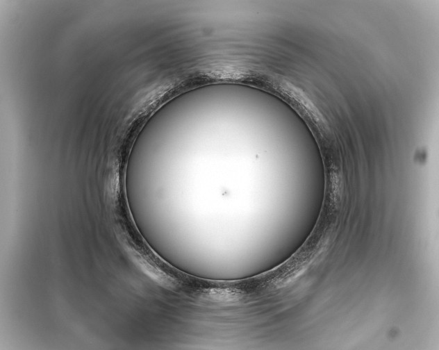 X0000099500541200805221403