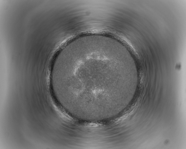 X0000099500542200805221403