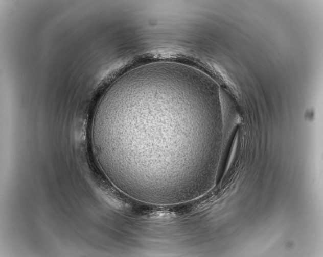 X0000099500543200805221403