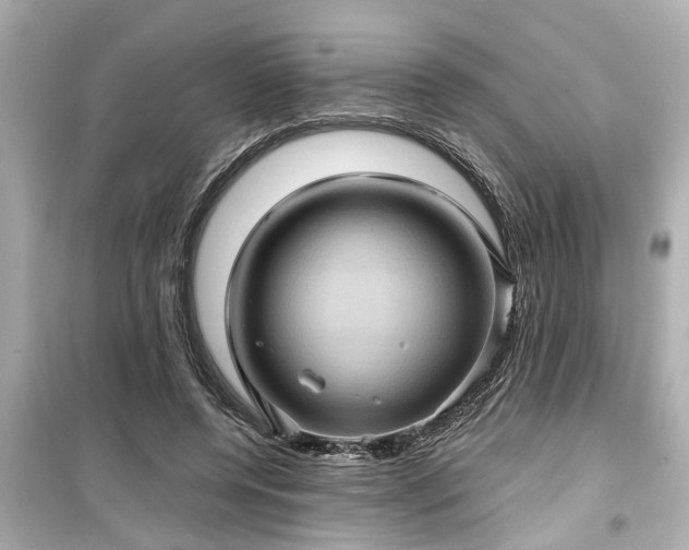X0000099500544200805221403