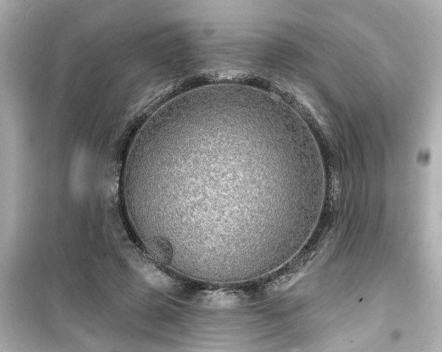 X0000099500545200805221403