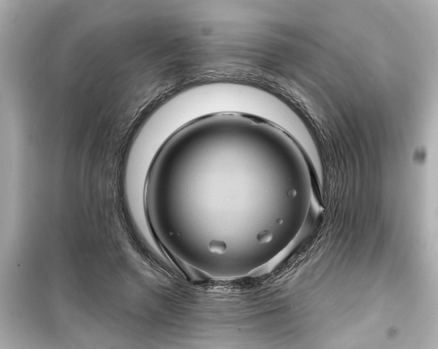 X0000099500546200805221403
