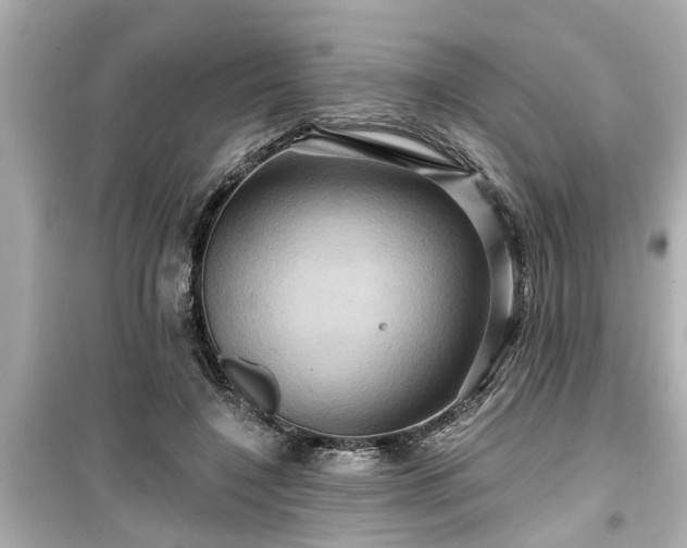 X0000099500548200805221403