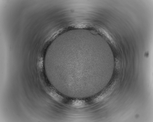 X0000099500549200805221403