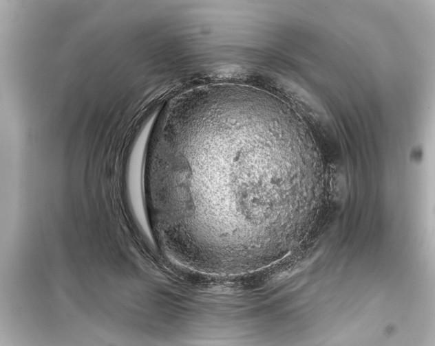 X0000099500550200805221403