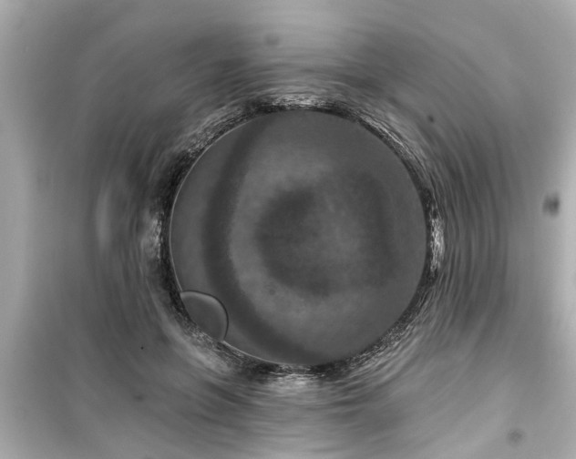 X0000099500551200805221403