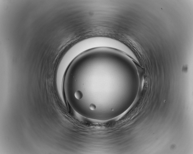 X0000099500552200805221403
