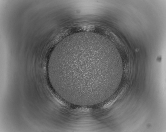 X0000099500553200805221403