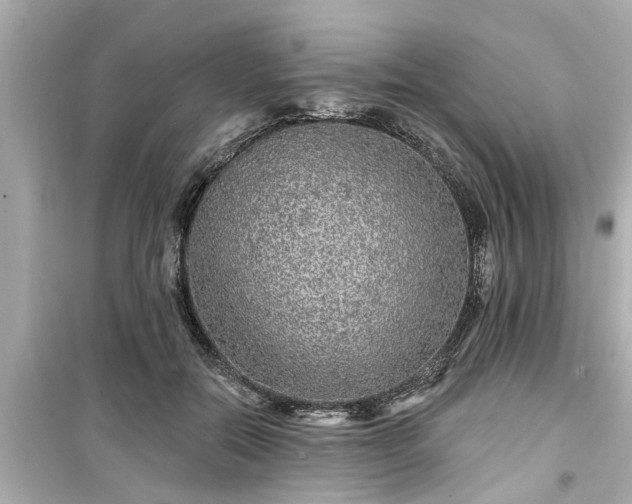 X0000099500554200805221403