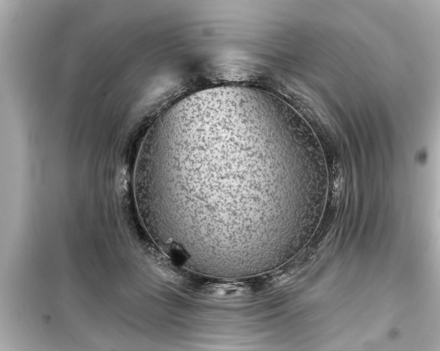 X0000099500555200805221403