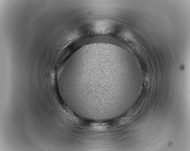 X0000099500556200805221403