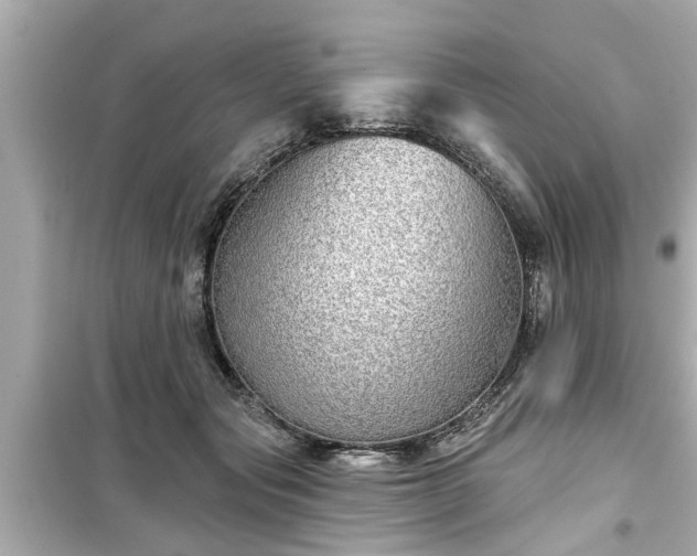 X0000099500557200805221403
