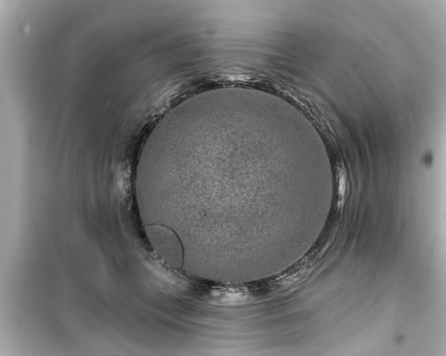 X0000099500559200805221403