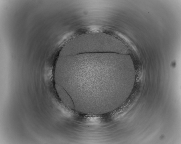 X0000099500560200805221403