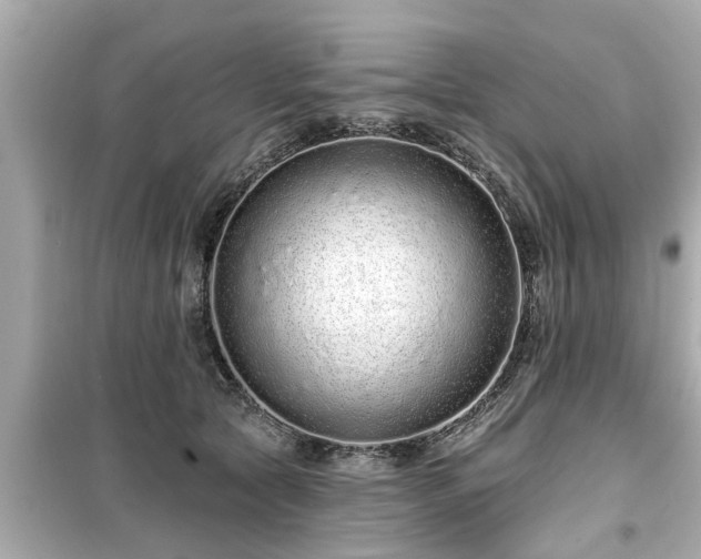 X0000099500561200805221403