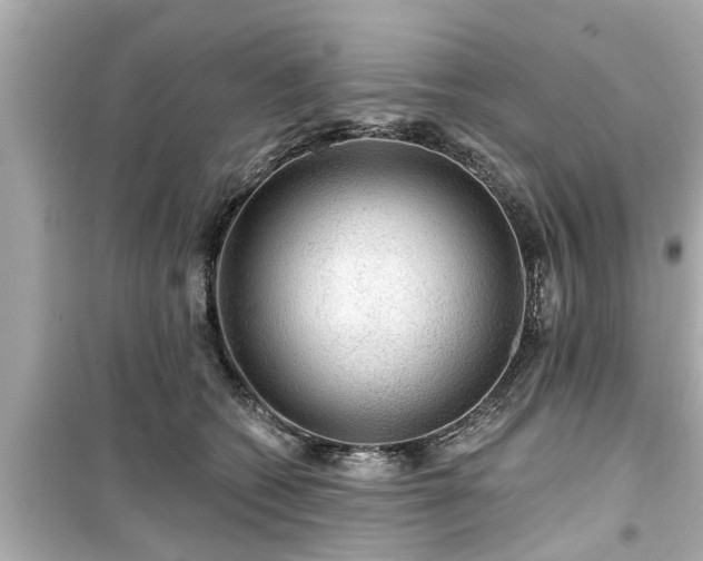 X0000099500562200805221403