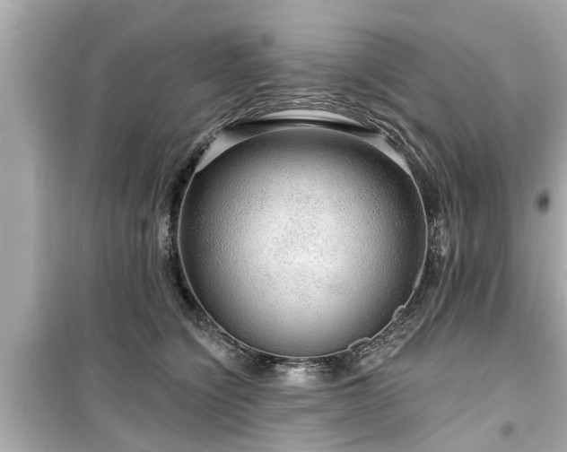 X0000099500564200805221403