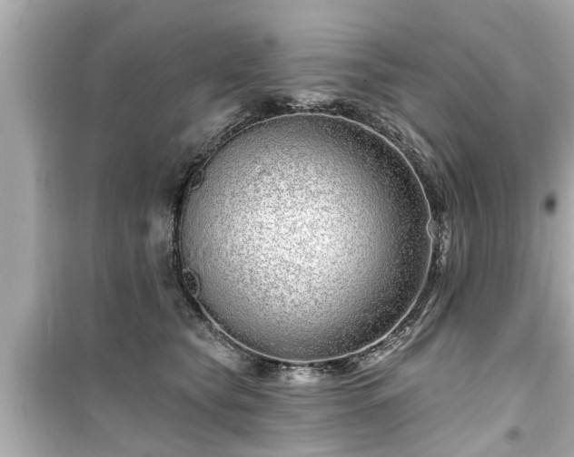 X0000099500565200805221403