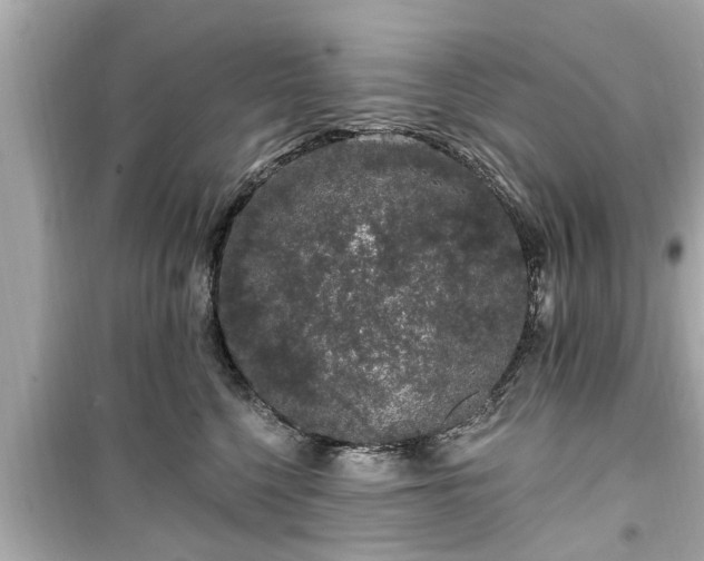 X0000099500568200805221403
