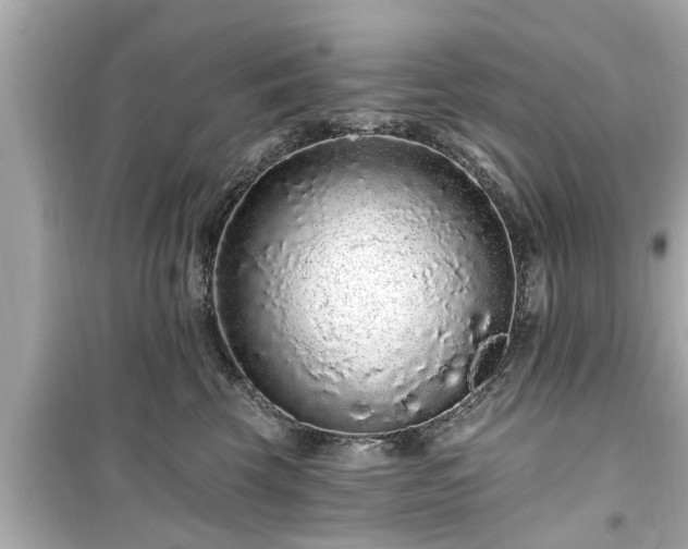 X0000099500569200805221403