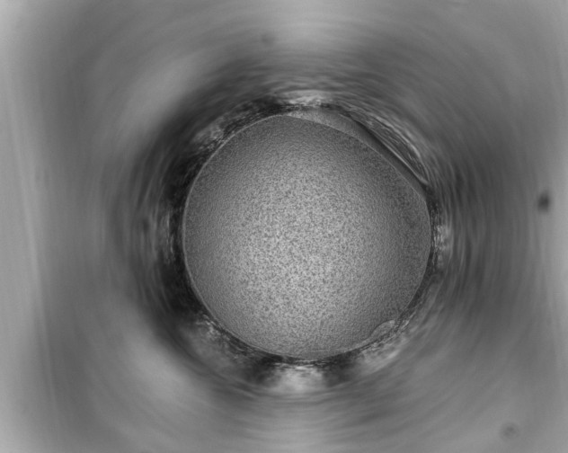 X0000099500572200805221403