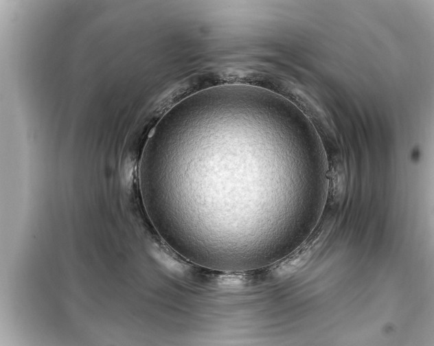 X0000099500574200805221403