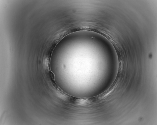 X0000099500575200805221403