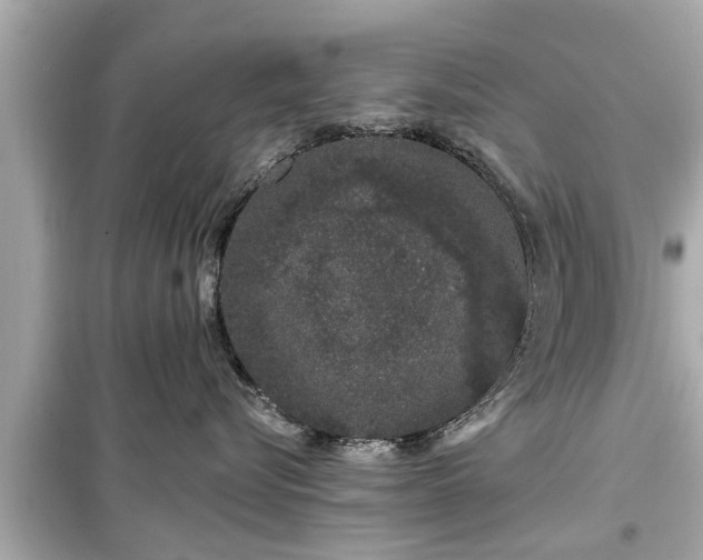 X0000099500576200805221403