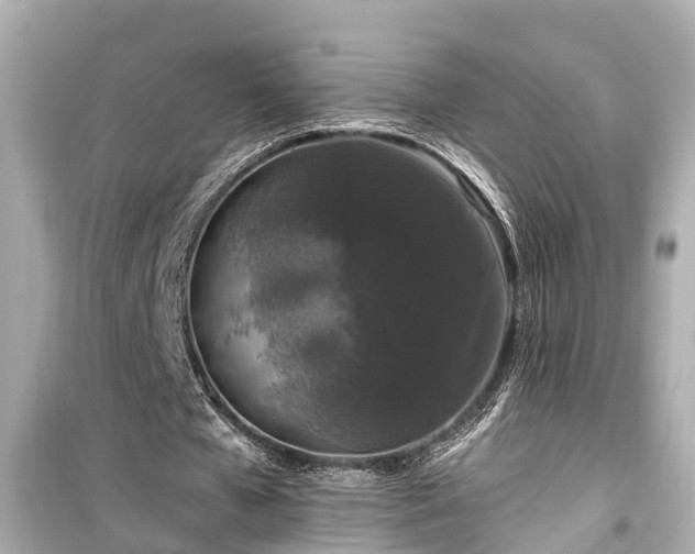 X0000099500577200805221402