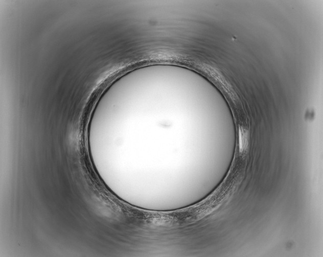 X0000099500579200805221402