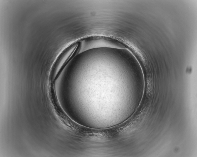 X0000099500580200805221402