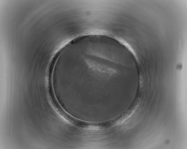 X0000099500581200805221402