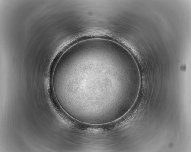 X0000099500582200805221402