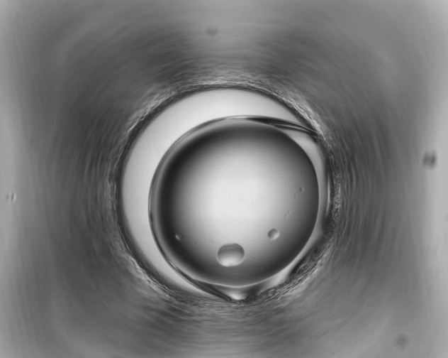 X0000099500585200805221402