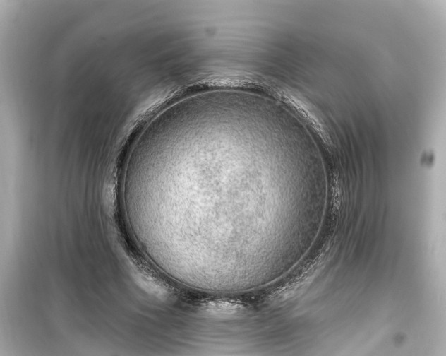 X0000099500586200805221402