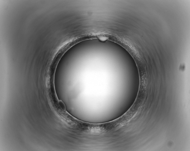 X0000099500587200805221402