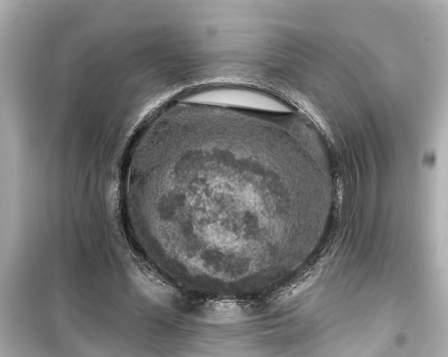 X0000099500588200805221402