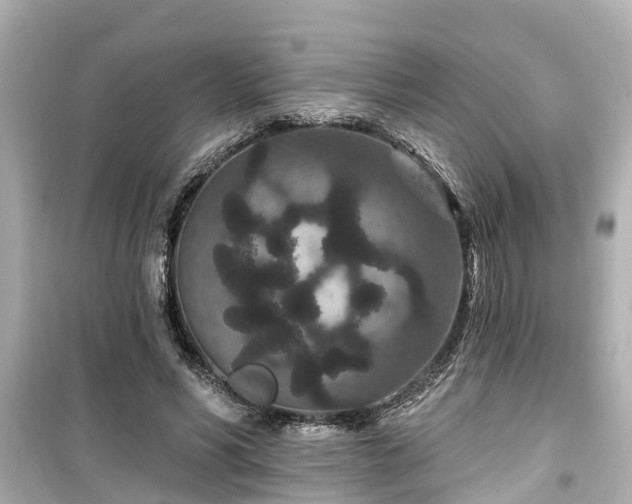 X0000099500590200805221402
