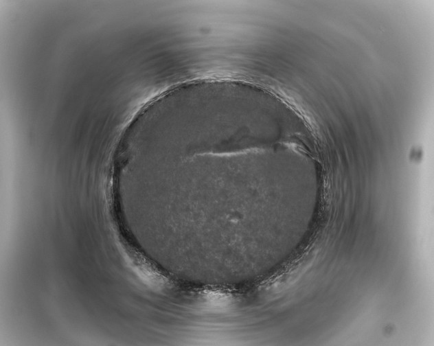 X0000099500592200805221402