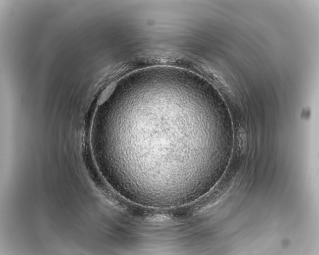 X0000099500594200805221402