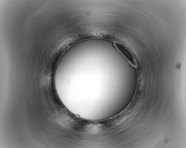 X0000099500595200805221402