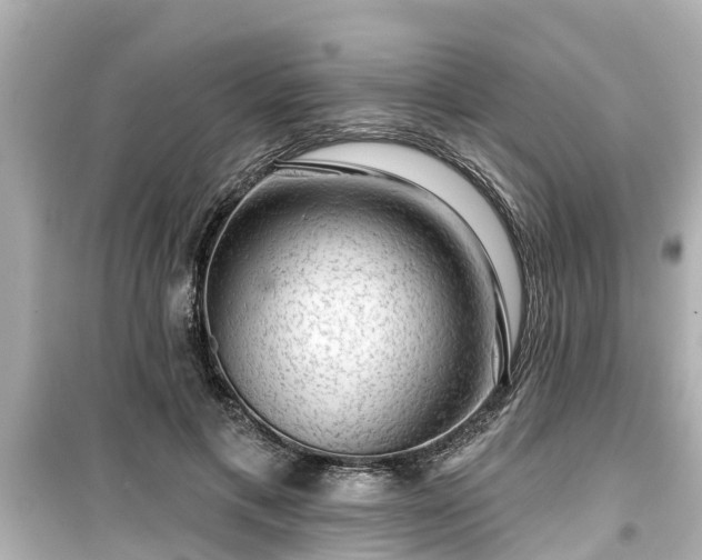 X0000099500597200805221402