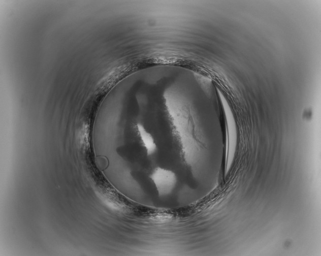 X0000099500598200805221402