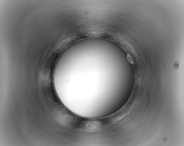 X0000099500599200805221402