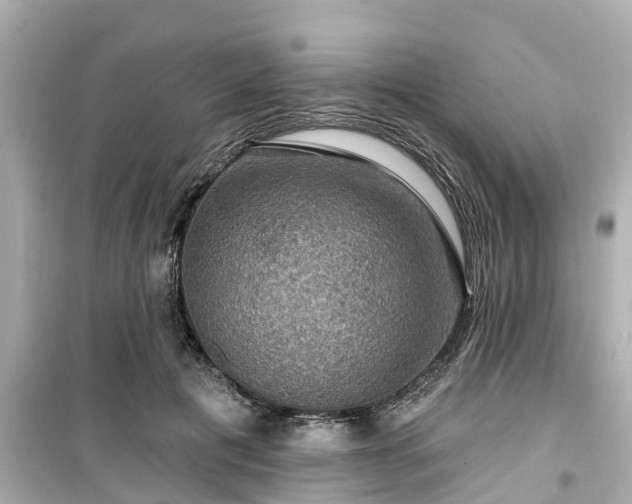 X0000099500601200805221402