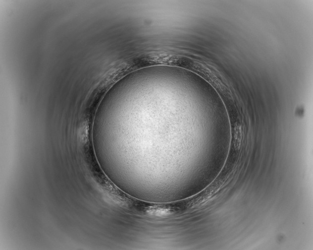 X0000099500602200805221402