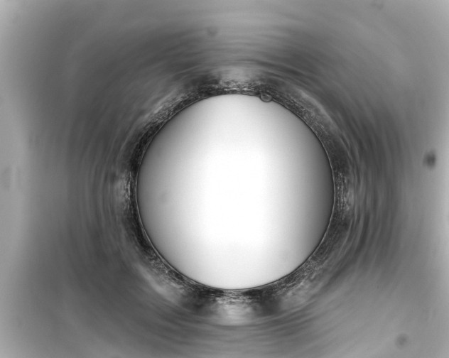 X0000099500603200805221402
