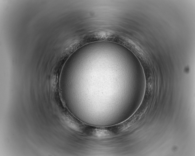 X0000099500605200805221402