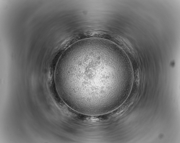 X0000099500607200805221402