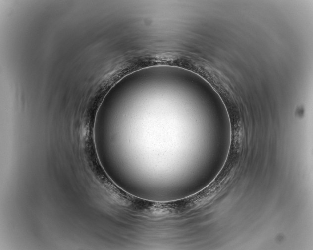 X0000099500608200805221402